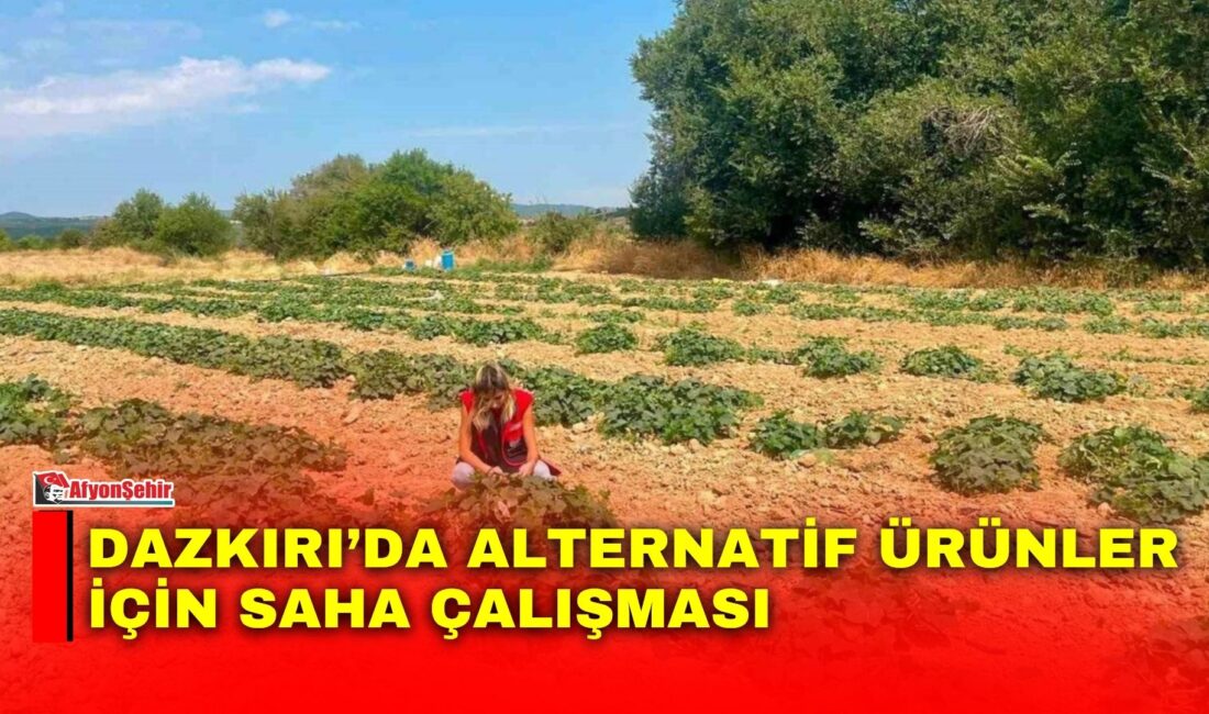 Afyonkarahisar’ın Dazkırı ilçesinde tarımsal üretimde ürün çeşitliliğinin artırılması ve alternatif
