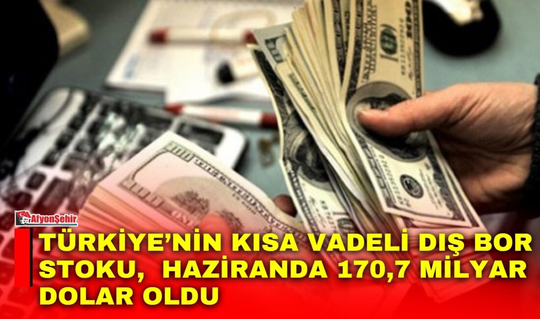 Türkiye’nin kısa vadeli dış bor stoku, Haziranda 170,7 milyar dolar oldu Türkiye Cumhuriyet Merkez Bankası (TCMB), Haziran ayı Kısa Vadeli Dış
