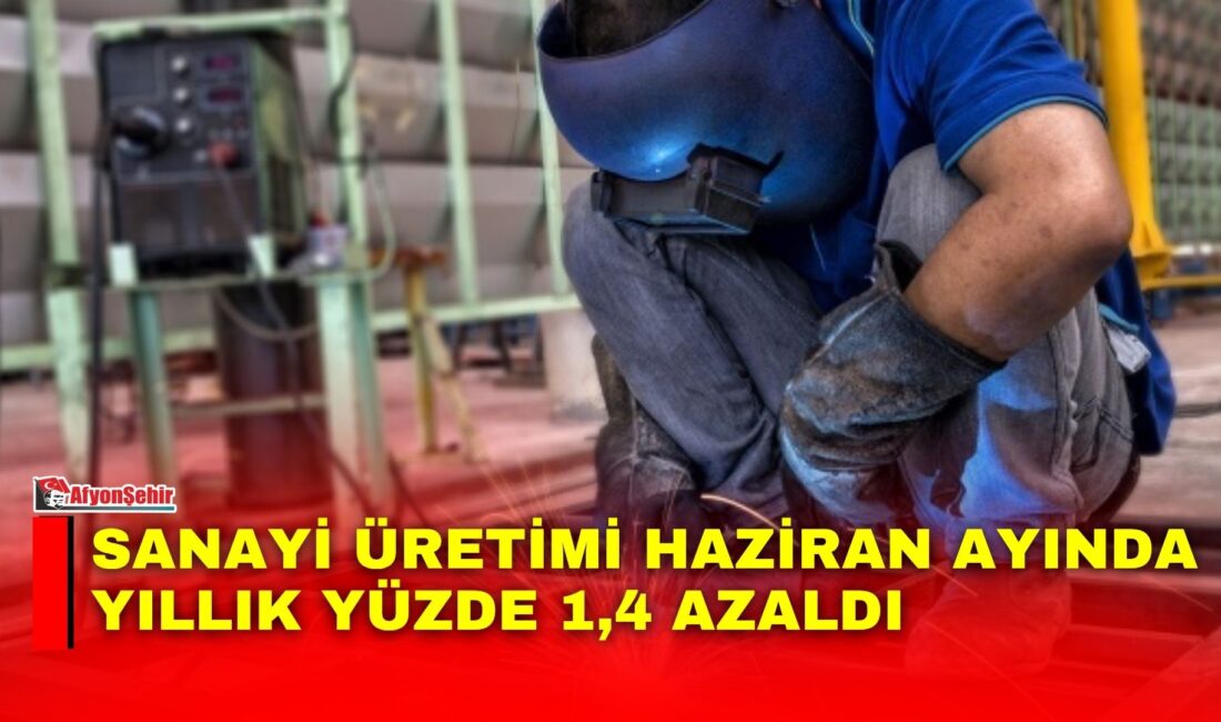 Türkiye İstatistik Kurumu (TÜİK), 2026 yılı Haziran ayına ilişkin Sanayi