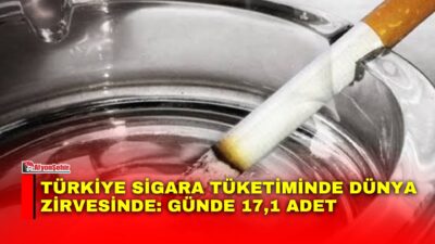Göğüs Hastalıkları Uzmanı Prof. Dr. Şevket Özkaya, Türkiye’nin kişi başına