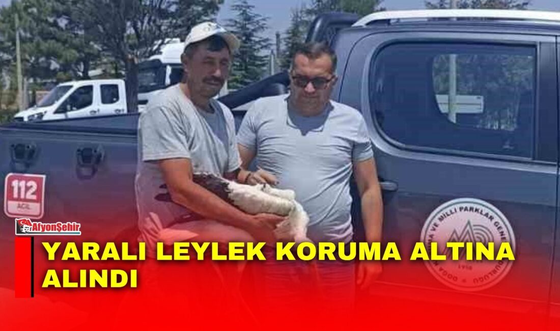 Afyonkarahisar’da yaralı halde bulunan bir leylek koruma altına alındı.

