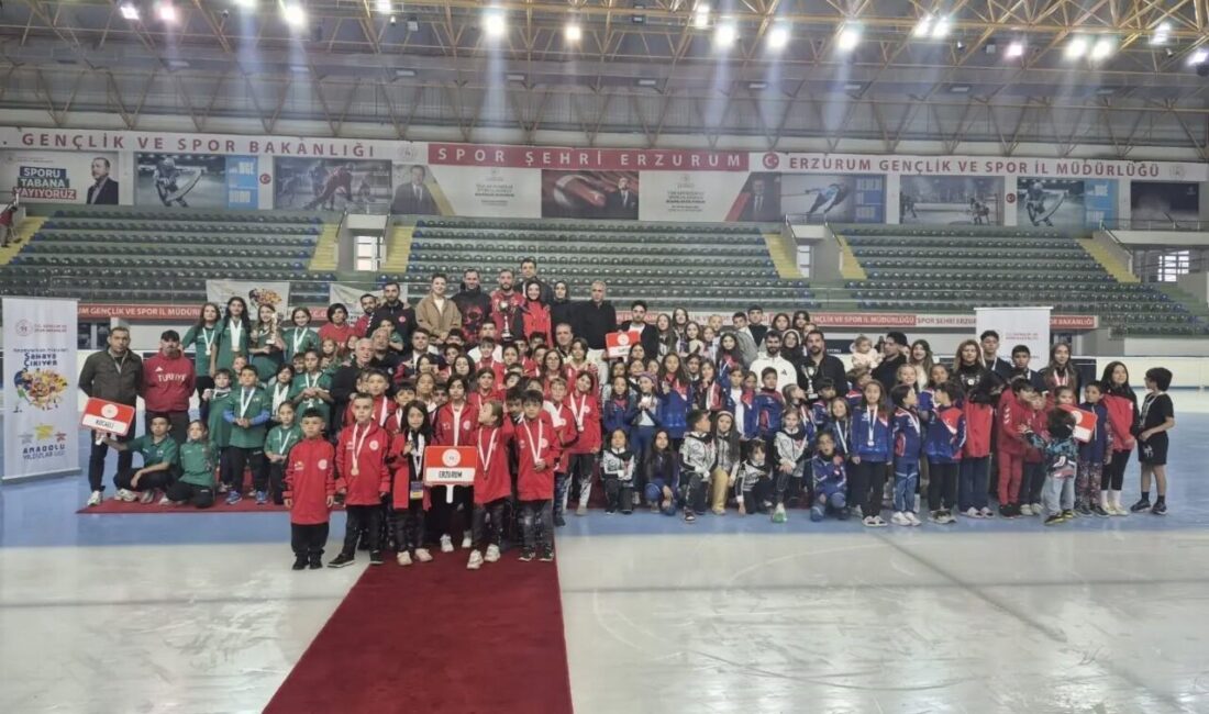 Gençlik ve Spor Bakanlığı tarafından düzenlenen Anadolu Yıldızlar Ligi (ANALİG)