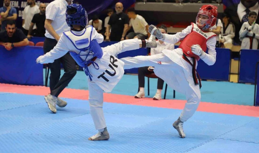 Anadolu Yıldızlar Ligi (ANALİG) Taekwondo Türkiye Şampiyonası, Karabük’te düzenlenen açılış