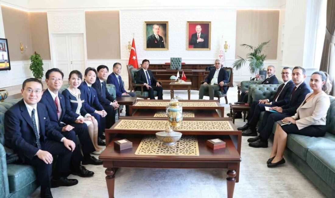 Sağlık Bakanı Kemal Memişoğlu, Japonya Temsilciler Meclisi Üyesi ve Temsilciler