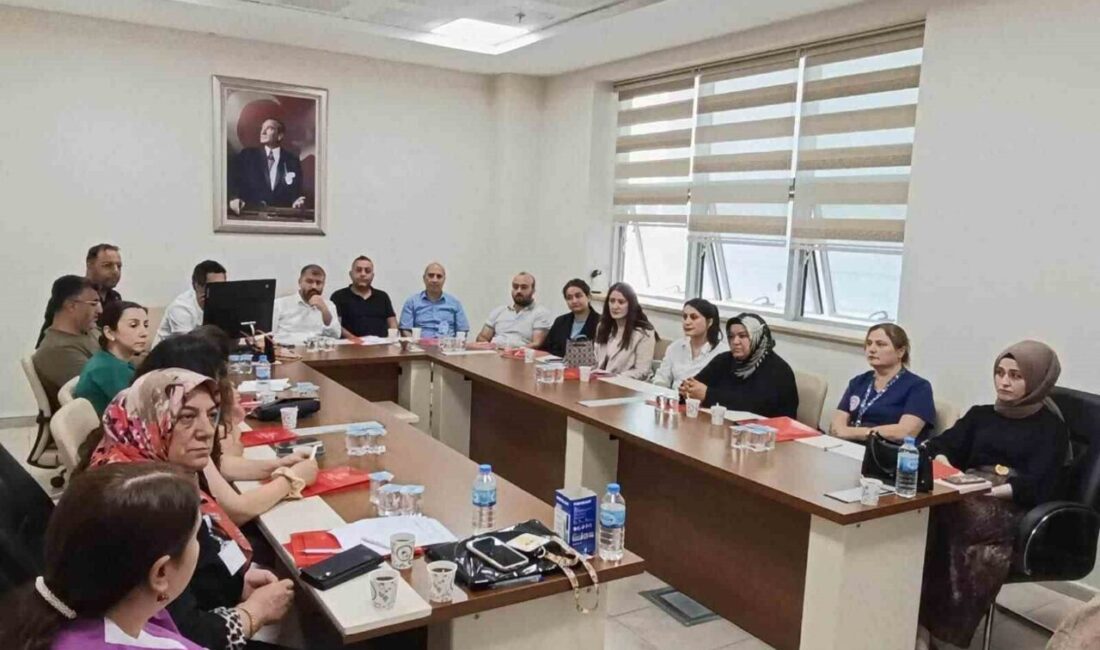Bayburt’ta primer sezaryen oranlarının azaltılması ve normal doğumun desteklenmesine yönelik