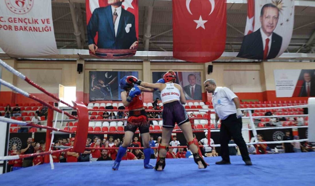 Bilecik’te bu yıl 2’ncisi düzenlenen kick boks şampiyonası tamamlandı. Bilecik’te