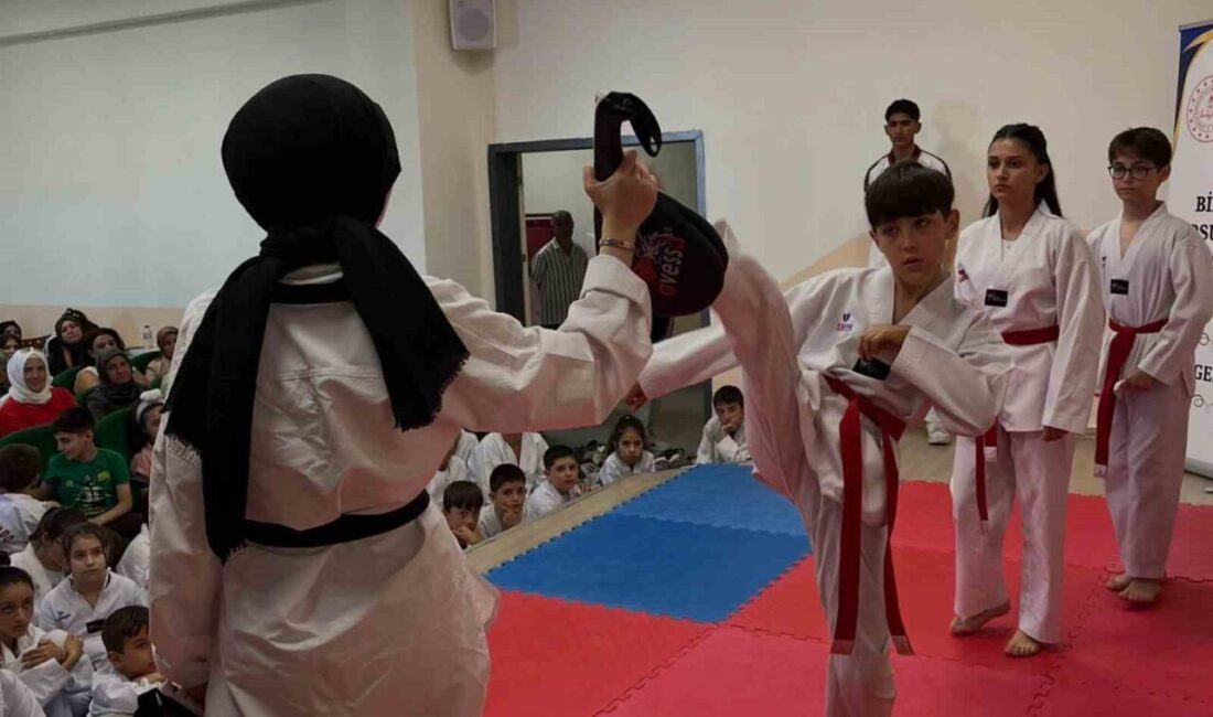 Bilecik’te Yaz Spor Okulları kapsamında düzenlenen tekvando eğitimleri, minik sporcuların