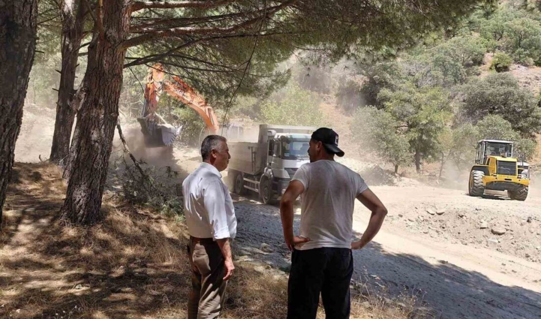 Buharkent Belediye Başkanı Mehmet Erol, 19. Taze İncir Festivali kapsamında