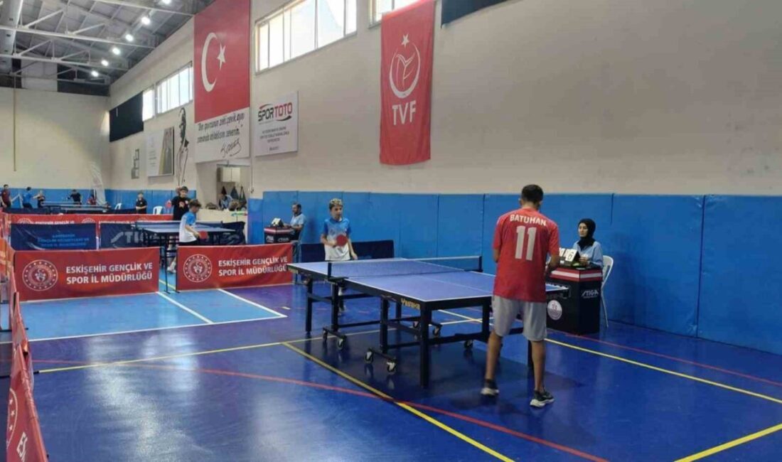 Eskişehir Aile ve Sosyal Hizmetler İl Müdürlüğüne bağlı Çocuk Evleri