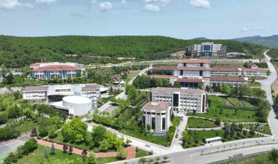 Resmi Gazete’de yayımlanarak yürürlüğe giren yönetmelik ile Düzce Üniversitesi bünyesinde
