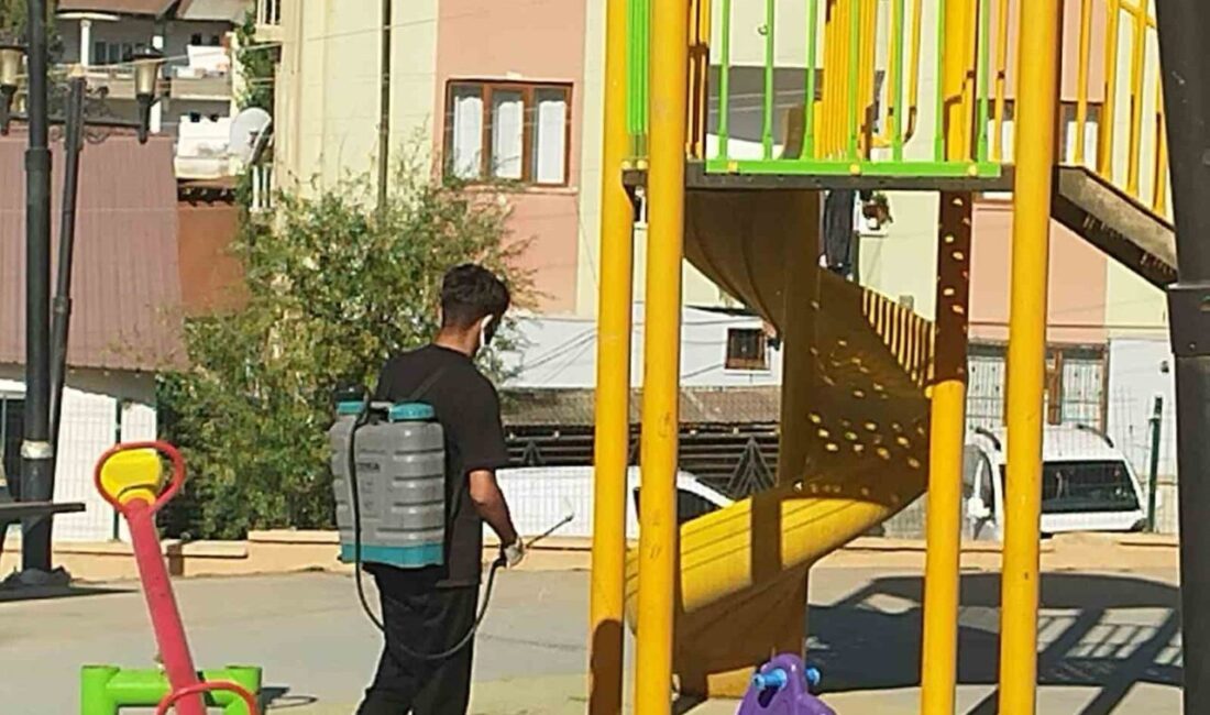 Hakkari’de kara sinek ve sivrisineklere karşı yürüttüğü ilaçlama çalışmaları aralıksız