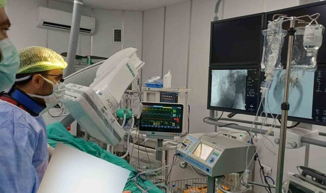 Niğde Ömer Halisdemir Eğitim ve Araştırma Hastanesi’nde, aort yırtılması tanısıyla