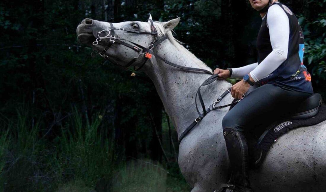 Oğuz Alper Öktem, 18-20 Eylül 2026 tarihlerinde Romanya’da düzenlenecek Balkan