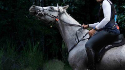 Oğuz Alper Öktem, 18-20 Eylül 2026 tarihlerinde Romanya’da düzenlenecek Balkan