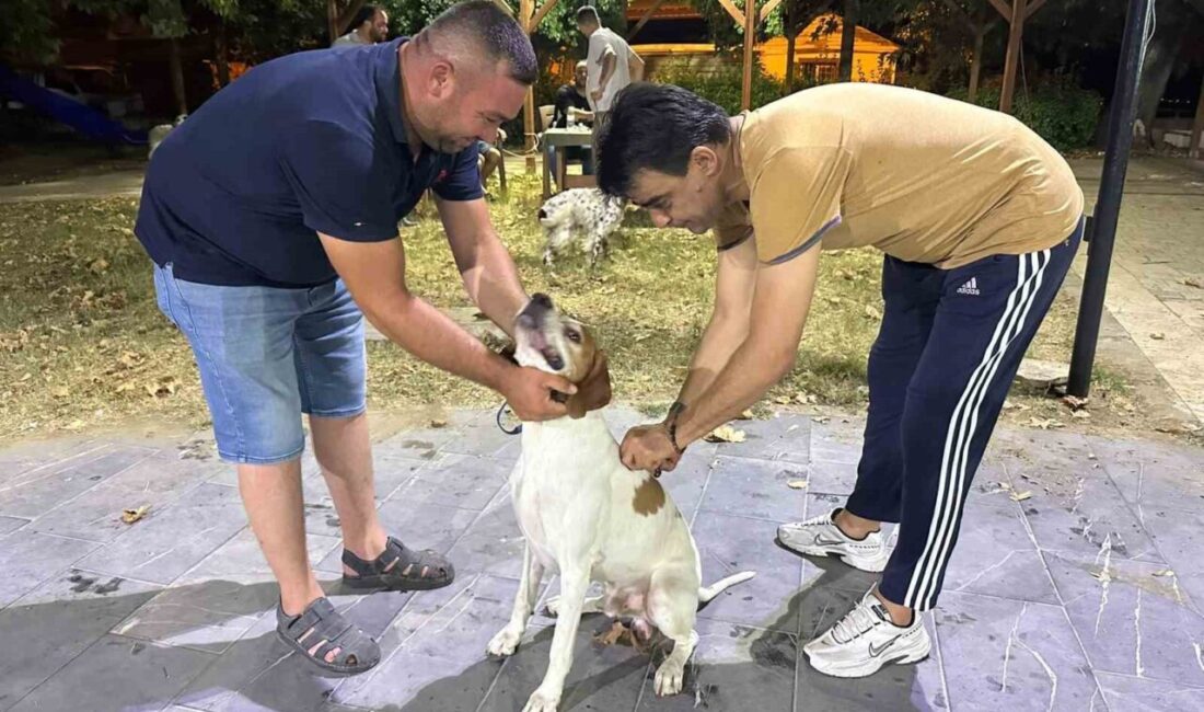 Sarıgöl Avcılık ve Atıcılık Spor Kulübü öncülüğünde başlatılan çalışma kapsamında,