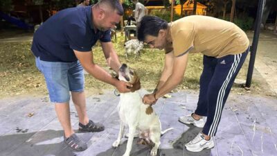 Sarıgöl Avcılık ve Atıcılık Spor Kulübü öncülüğünde başlatılan çalışma kapsamında,
