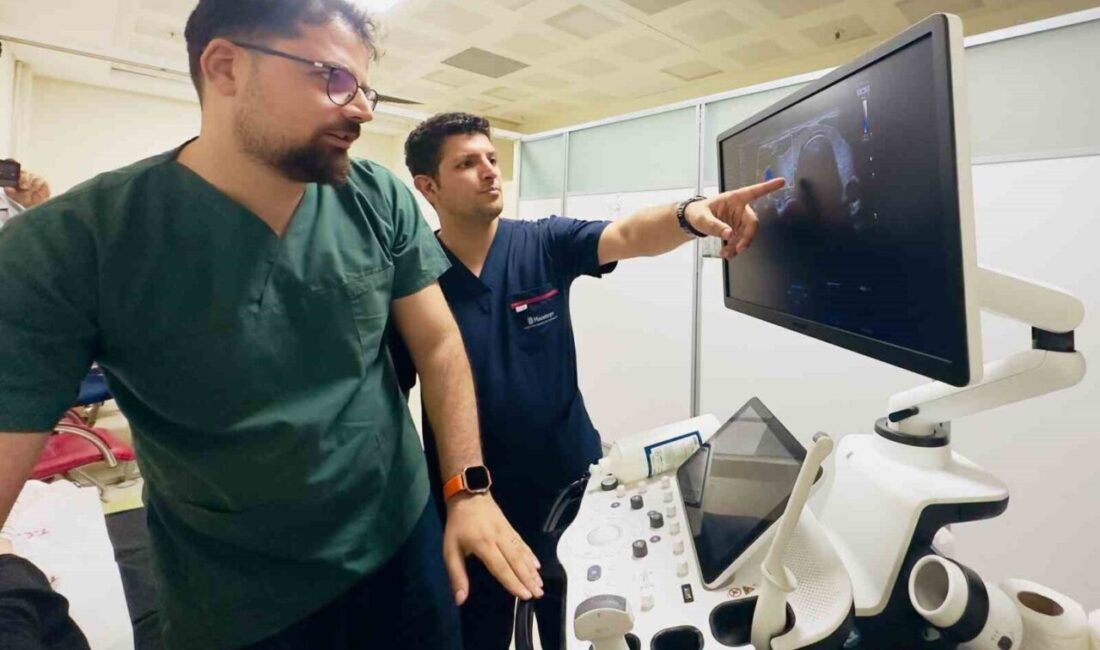 Siirt’te tiroid nodüllerinin tanı ve tedavisinde girişimsel radyoloji yöntemlerinin kullanımıyla,