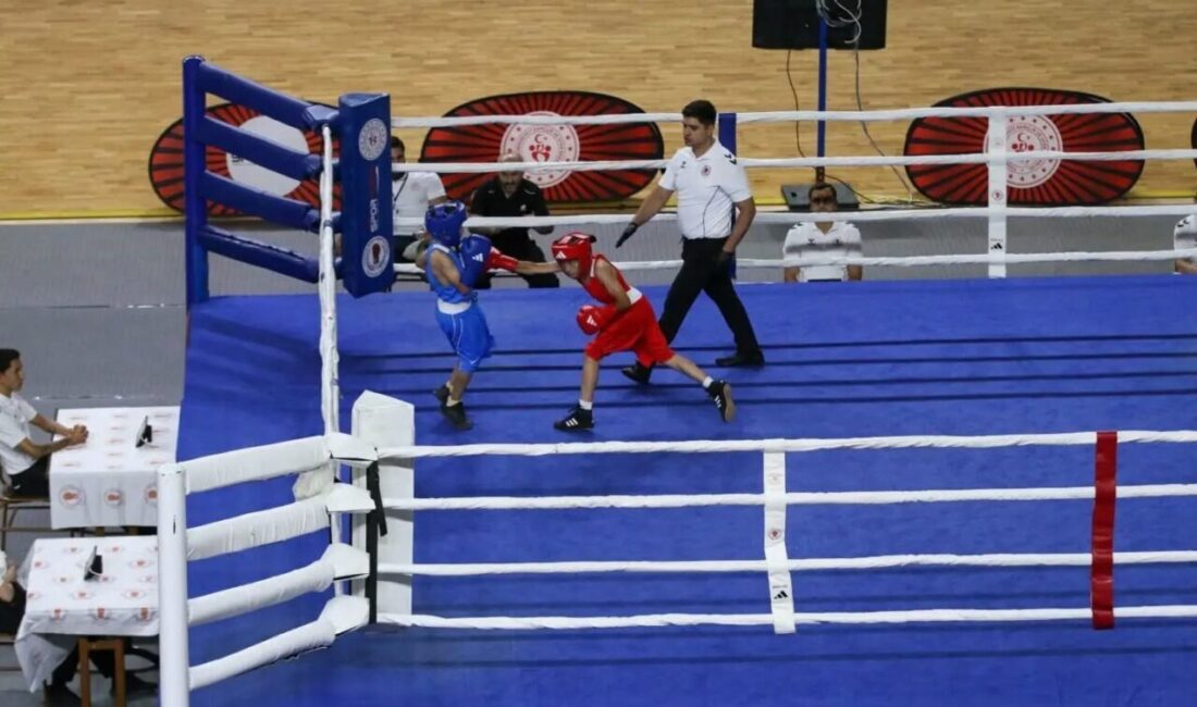 Sivas’taki boks şampiyonası sürüyor Türkiye Boks Federasyonu’nun 2026 yılı faaliyet programında yer alan Alt