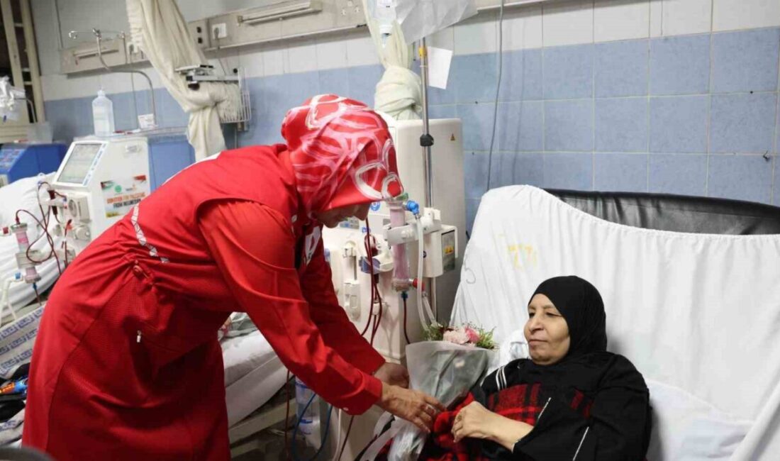 Türk Kızılay Genel Başkanı Prof. Dr. Fatma Meriç Yılmaz, Mısır