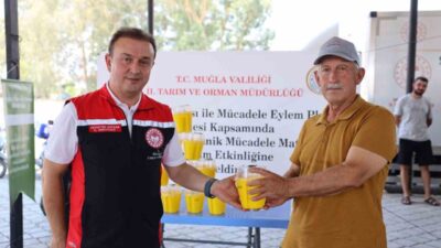 Muğla İl Tarım ve Orman Müdürlüğü tarafından, turunçgil üretiminde verim