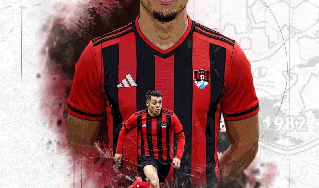 Trendyol 1. Lig temsilcisi Vanspor Futbol Kulübü, profesyonel futbolcu Ilias