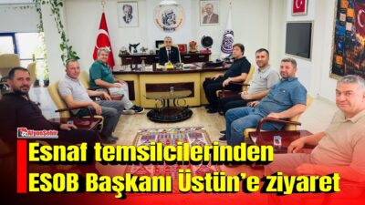 Afyonkarahisar’daki esnaf ve sanatkâr temsilcileri, Afyonkarahisar Esnaf ve Sanatkârlar Odaları