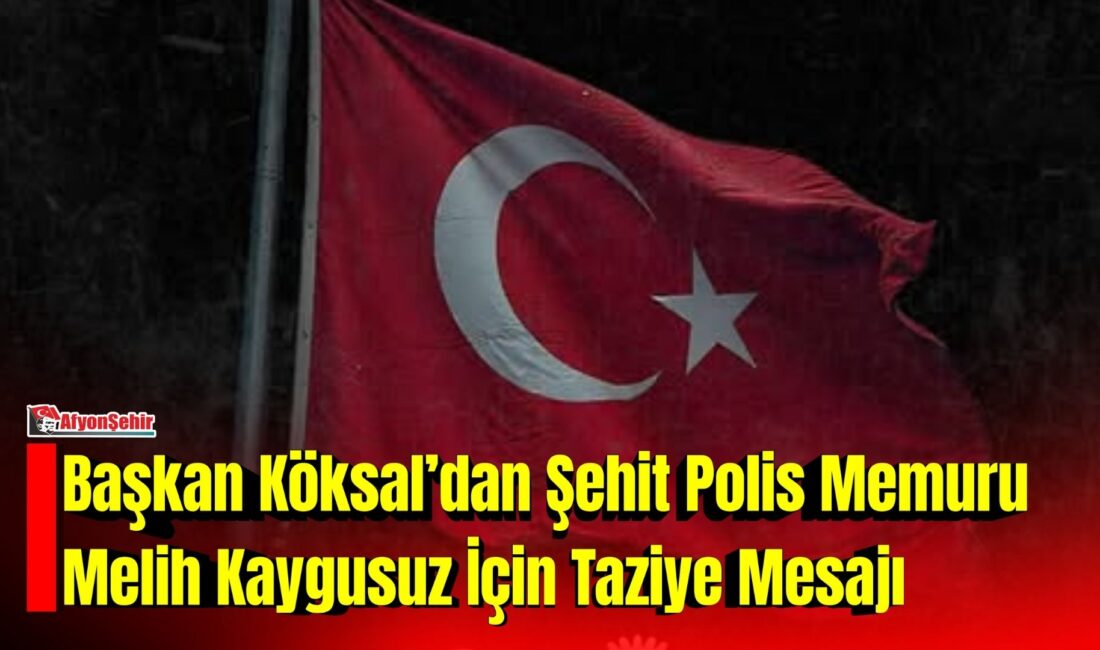 Afyonkarahisar Belediye Başkanı Burcu Köksal, Şırnak’ın Cizre ilçesinde görevi sırasında