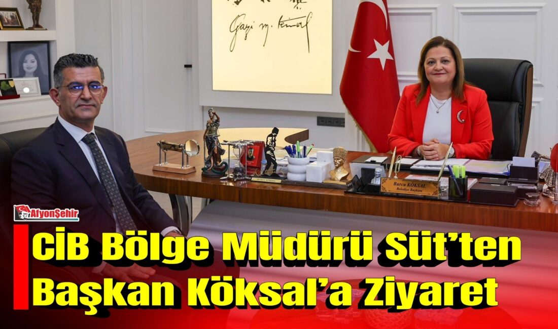Cumhurbaşkanlığı İletişim Başkanlığı Afyonkarahisar Bölge Müdürü Ömer Süt, Afyonkarahisar Belediye