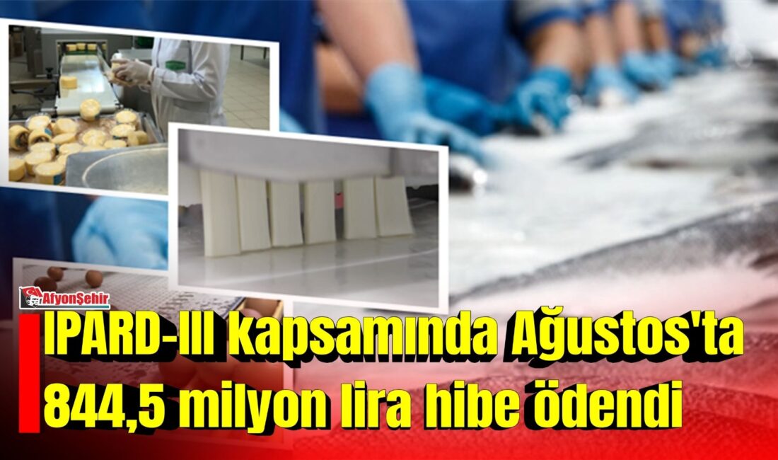 IPARD-III kapsamında ağustosta 844,5 milyon lira hibe ödendi Tarım ve Orman Bakanı İbrahim Yumaklı, IPARD-III Programı kapsamında ağustosta