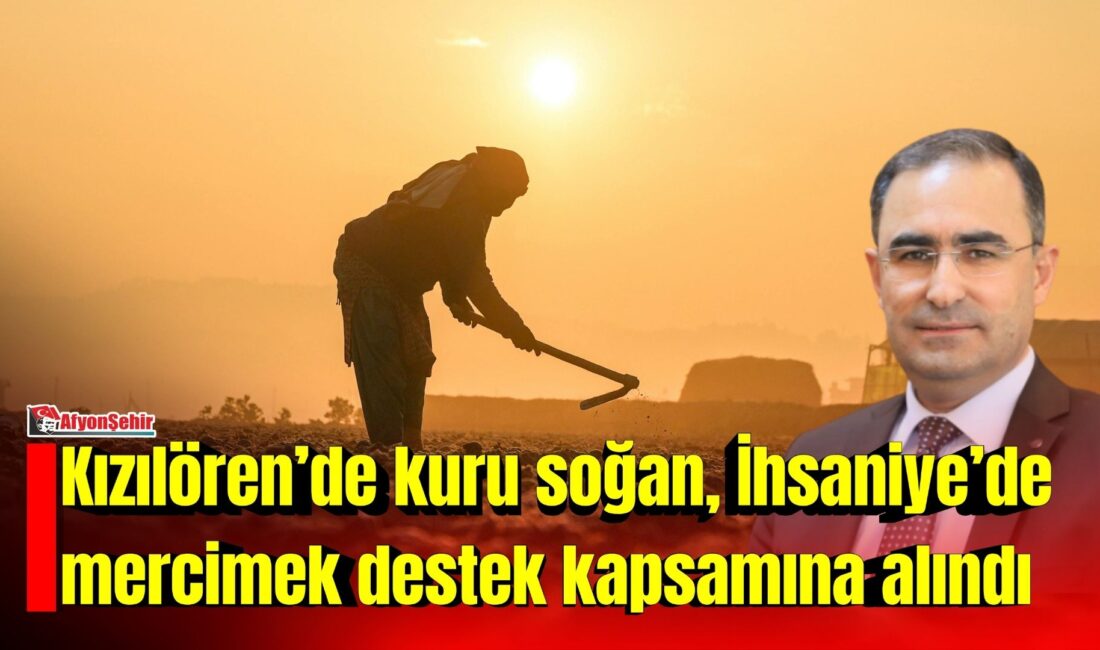 AK Parti Afyonkarahisar Milletvekili Dr. Hasan Arslan, Cumhurbaşkanı Recep Tayyip