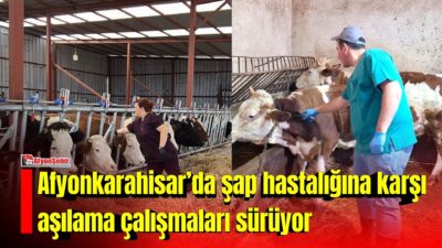 Afyonkarahisar Tarım ve Orman Müdürlüğü ekipleri, hayvan sağlığının korunması ve şap hastalığına karşı