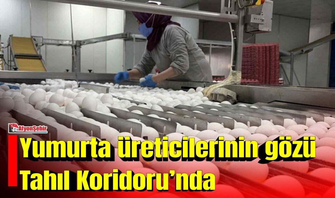Yumurta üretiminde Türkiye’de yaklaşık yüzde 25’lik gibi büyük bir paya