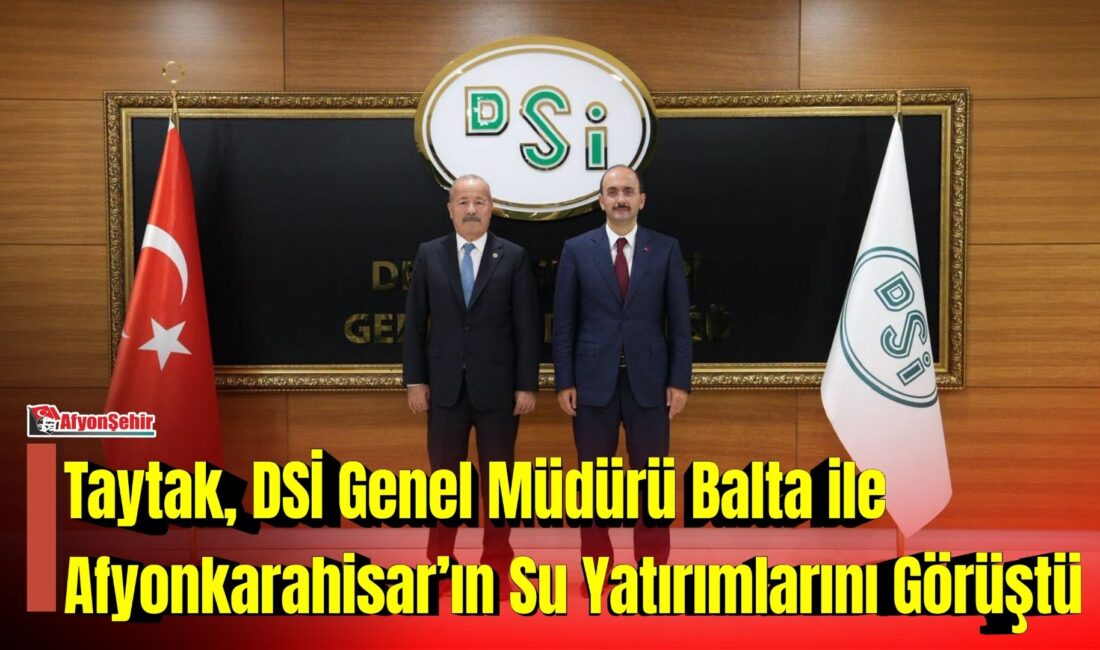 MHP Afyonkarahisar Milletvekili Mehmet Taytak, Devlet Su İşleri (DSİ) Genel