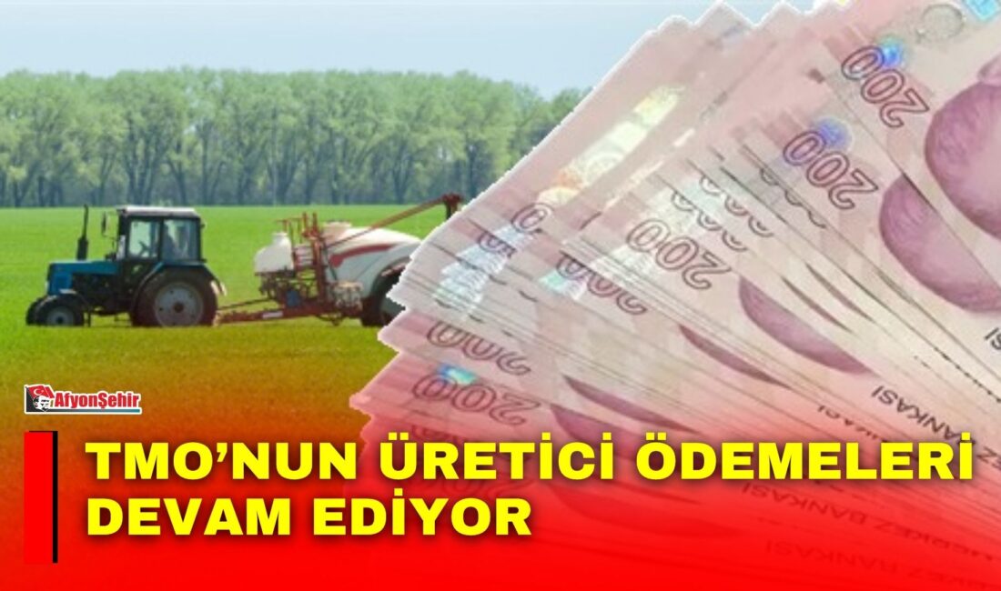 Toprak Mahsulleri Ofisi (TMO), 2026 yılı alım ödemeleri kapsamında üreticilere