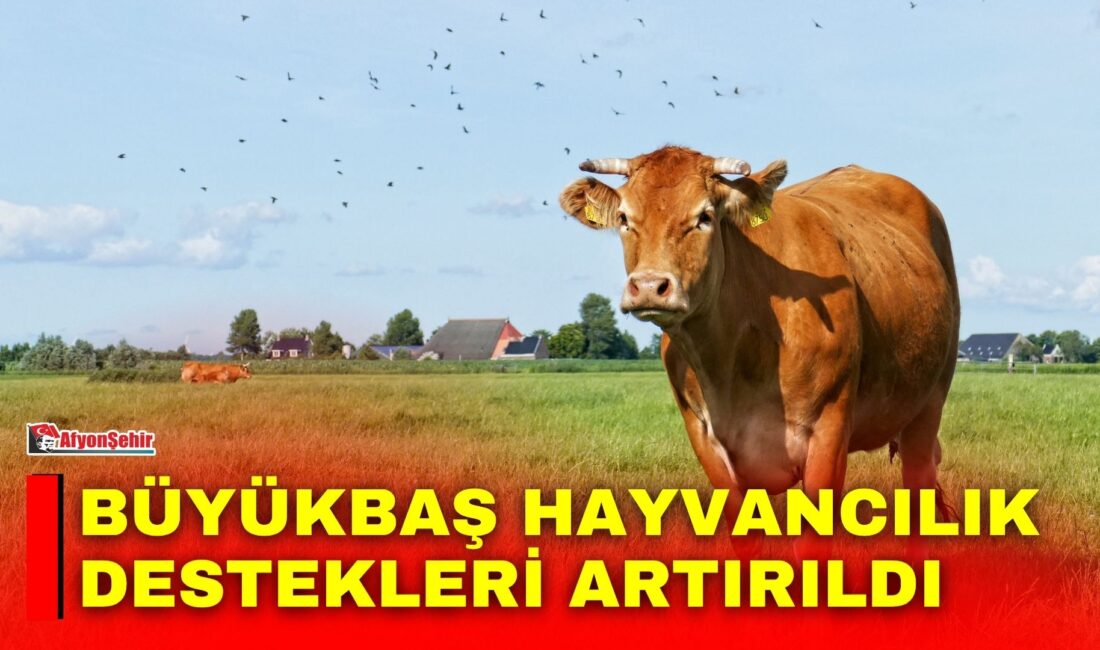 Tarım ve Orman Bakanlığı, büyükbaş hayvancılık desteklerinde önemli artışlar yapıldığını