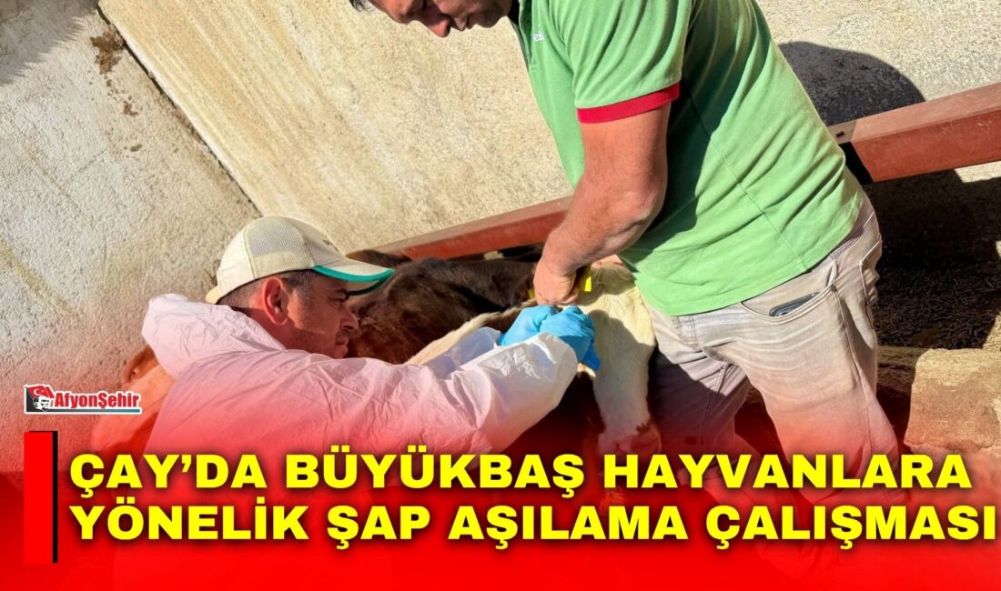Hayvan sağlığının korunması ve bulaşıcı hayvan hastalıklarıyla etkin şekilde mücadele