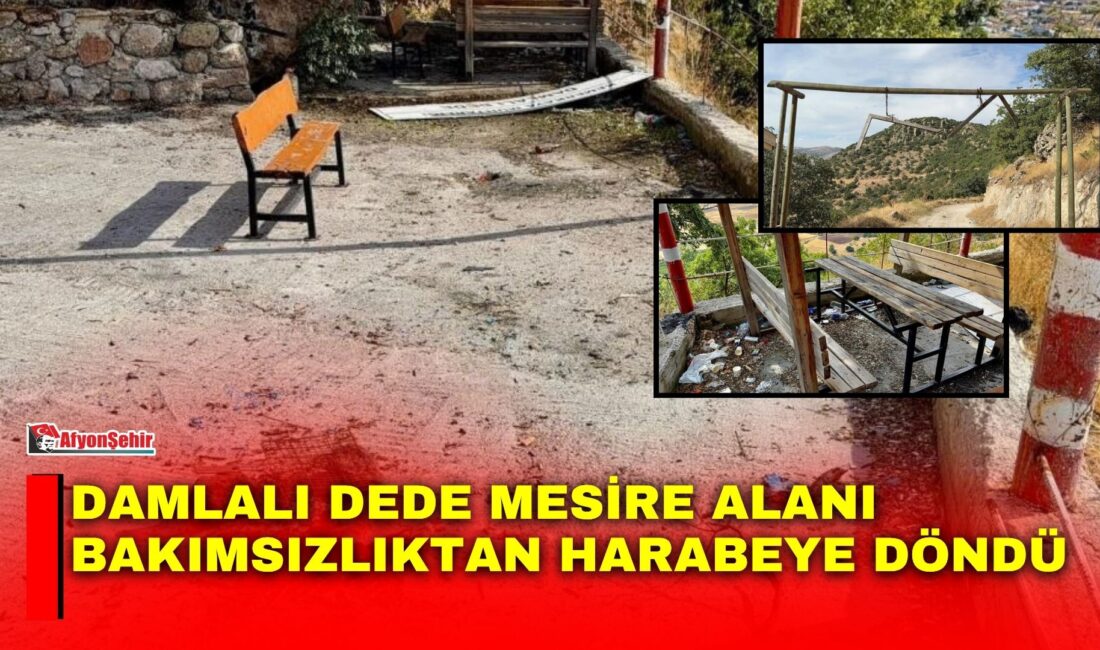 Afyonkarahisar’ın Bolvadin ilçesindeki mesire alanı bakımsızlık nedeniyle adeta harabeye döndü.
