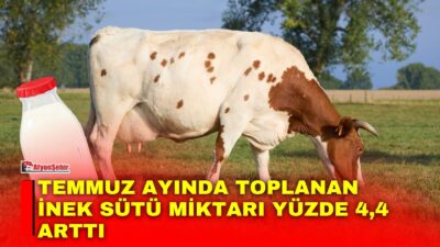 Türkiye İstatistik Kurumu (TÜİK), temmuz ayı Süt ve Süt Ürünleri