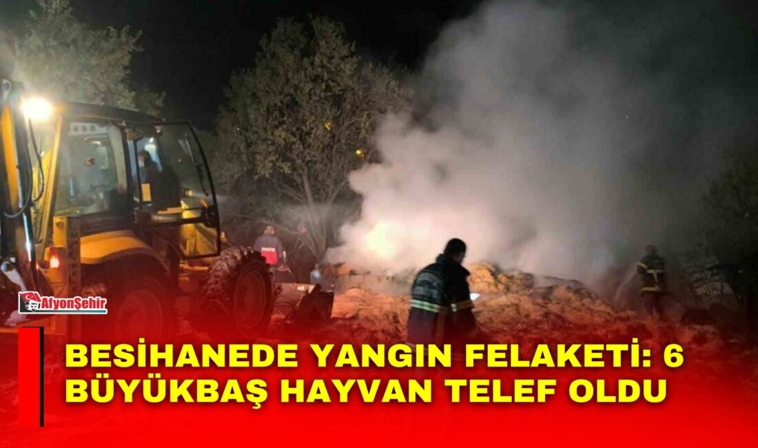 Afyonkarahisar’ın Şuhut ilçesine bağlı Bademli köyünde bir besihanede çıkan yangında