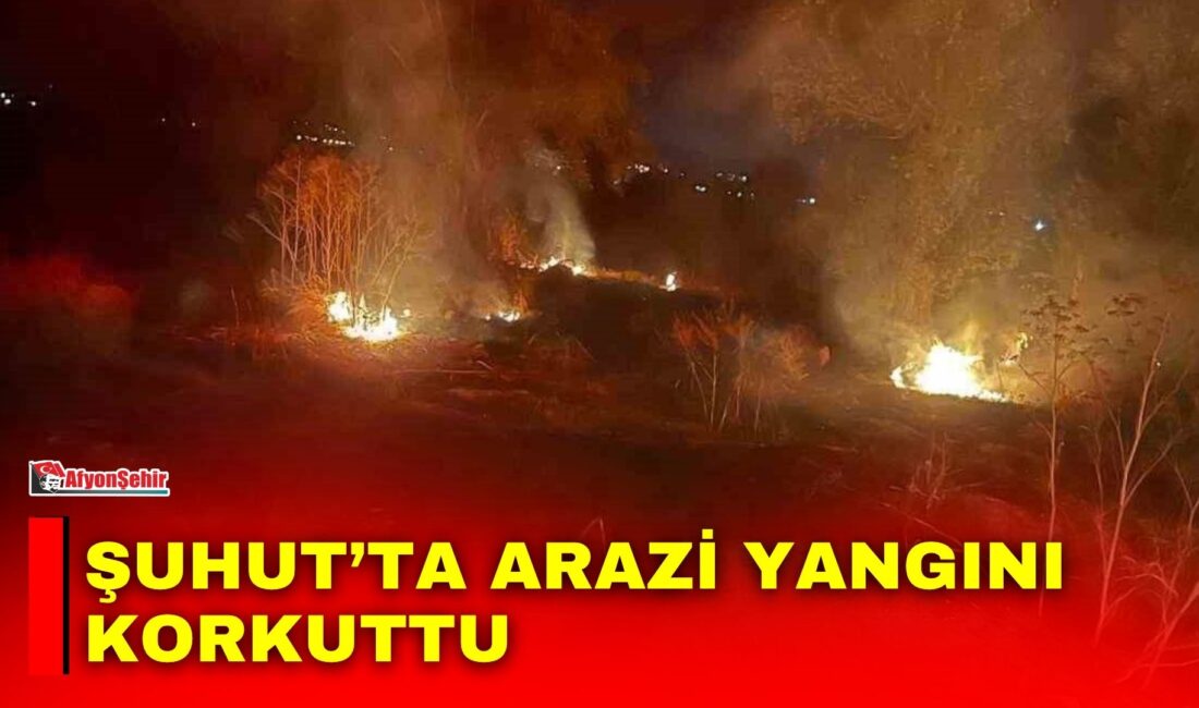 Afyonkarahisar’ın Şuhut ilçesinde çıkan arazi yangını, itfaiye ekiplerinin müdahalesiyle söndürüldü.
