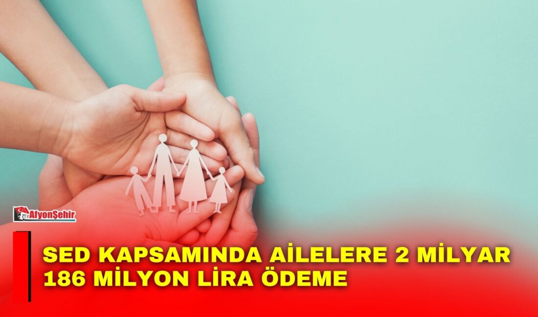 Aile ve Sosyal Hizmetler Bakanlığı, Sosyal ve Ekonomik Destek (SED)