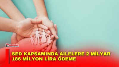 Aile ve Sosyal Hizmetler Bakanlığı, Sosyal ve Ekonomik Destek (SED)