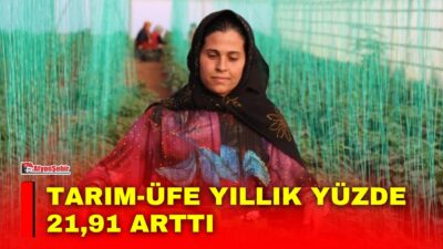 Türkiye İstatistik Kurumu (TÜİK), Ağustos ayı Tarım Ürünleri Üretici Fiyat