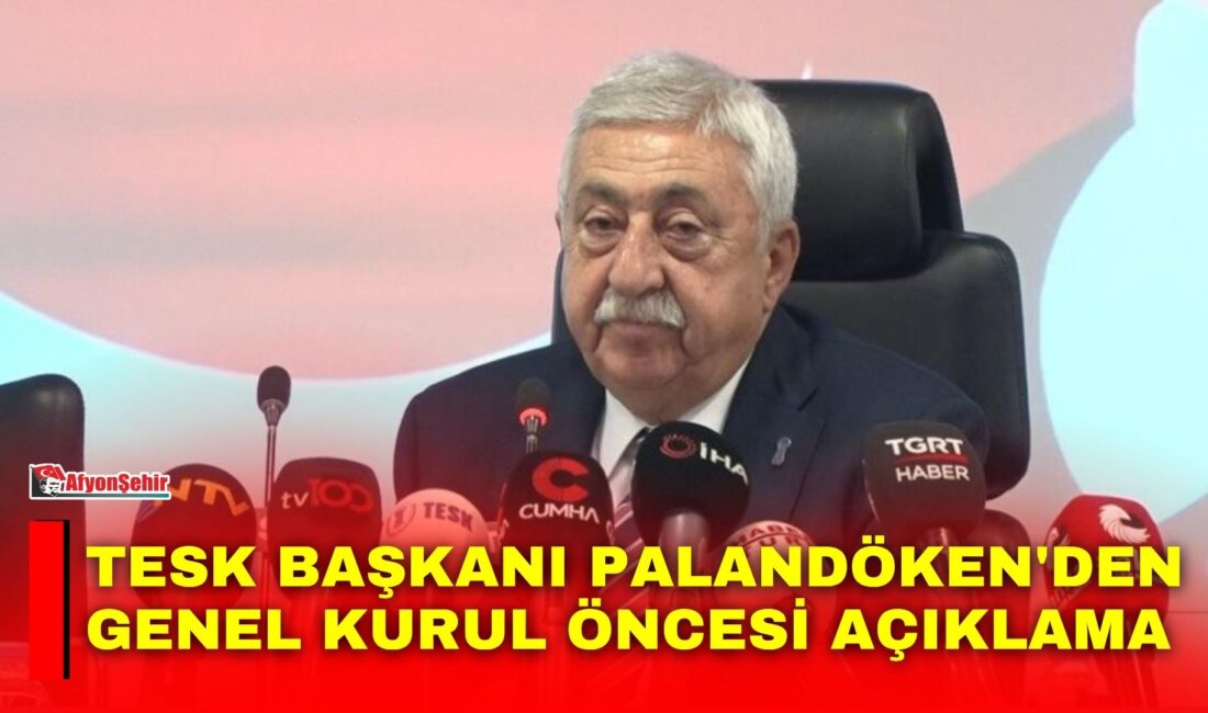 Türkiye Esnaf ve Sanatkarları Konfederasyonu (TESK) Başkanı Bendevi Palandöken, genel