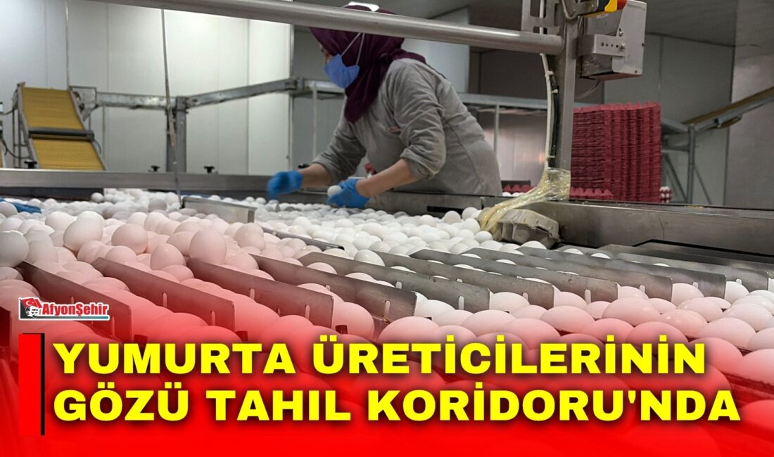 Türkiye yumurta üretiminin yaklaşık yüzde 25’ini karşılayan Afyonkarahisar’da üreticiler, sektördeki
