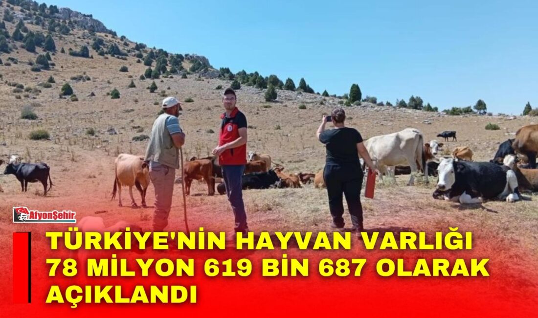 Türkiye İstatistik Kurumu (TÜİK), Haziran 2026 Hayvancılık İstatistikleri'ni yayımladı. Tarım