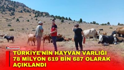 Türkiye İstatistik Kurumu (TÜİK), Haziran 2026 Hayvancılık İstatistikleri'ni yayımladı. Tarım