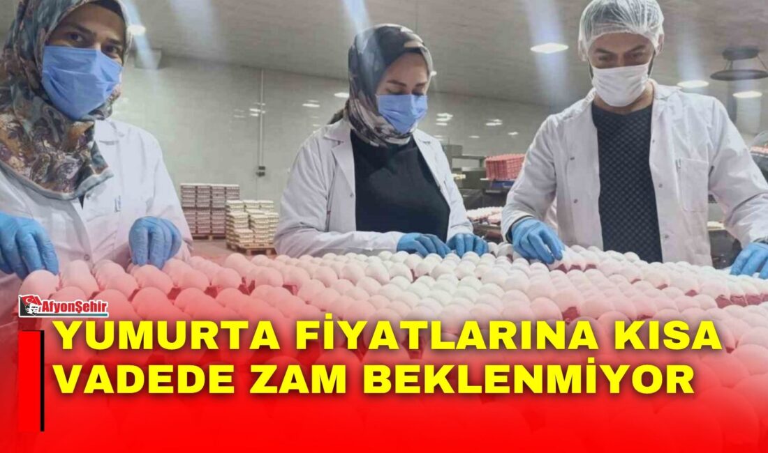 Afyonkarahisar Ticaret ve Sanayi Odası (ATSO) Yumurtacılar Meslek Komitesi Üyesi