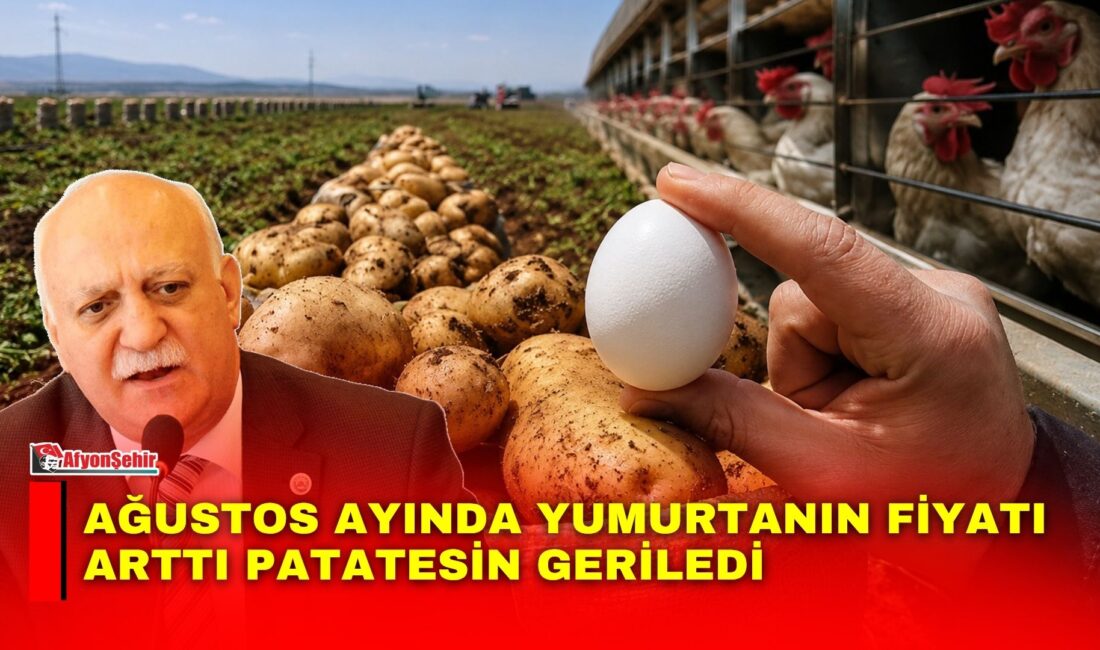 Ağustos ayında yumurtanın fiyatı arttı patatesin geriledi TZOB Genel Başkanı Bayraktar, ağustos ayında sebze ve meyve fiyatlarını