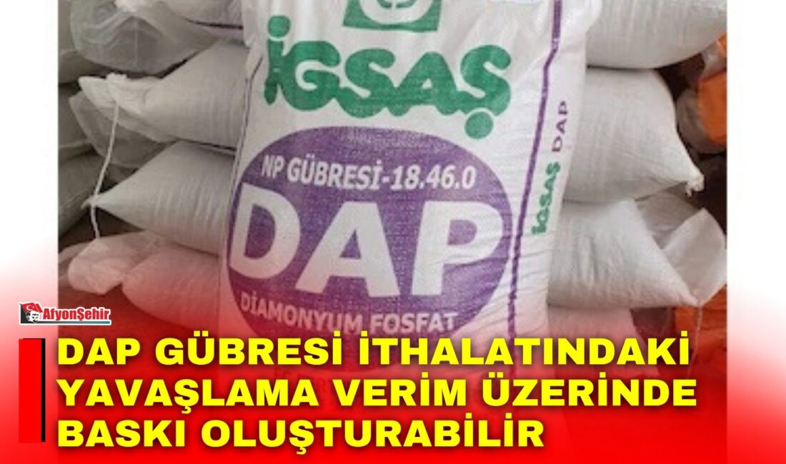 Türkiye’de yüksek fiyatlar, bitkinin gelişimi için gerekli fosforun yanı sıra